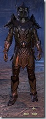 Dark Elf Dragonknight Veteran - Male Front