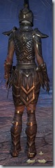 Dark Elf Nightblade Veteran - Female Back