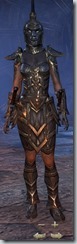 Dark Elf Nightblade Veteran - Female Front