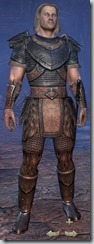 Nord Dragonknight Novice - Male Front