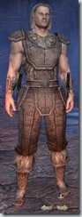 Nord Nightblade Novice - Male Front