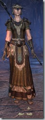Nord Sorcerer Veteran - Female Front