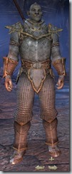 Orc Templar Novice - Male Front