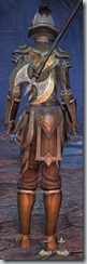 Redguard Templar Veteran - Female Back