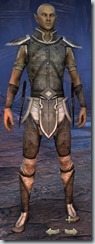 eso-high-elf-nightblade-novice-armor-male
