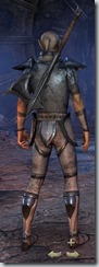 eso-high-elf-templar-novice-armor-male-3