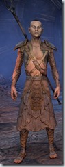 eso-wood-elf-sorcerer-novice-armor-male
