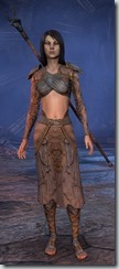 eso-wood-elf-sorcerer-novice-armor