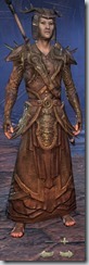 eso-wood-elf-sorcerer-veteran-armor-male