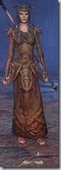 eso-wood-elf-sorcerer-veteran-armor