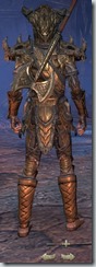 eso-wood-elf-templar-veteran-armor-male-3