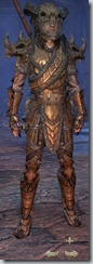 eso-wood-elf-templar-veteran-armor-male