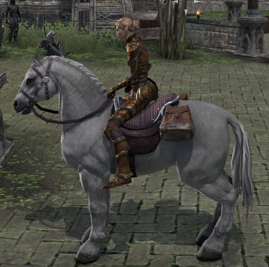 Elder Scrolls Online Imperial Horse ESO Fashion