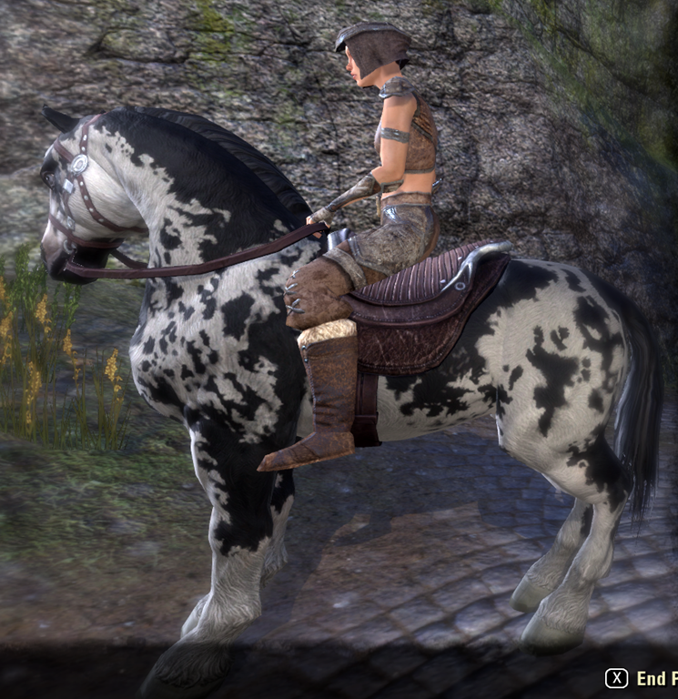 Elder Scrolls Online Piebald Destrier ESO Fashion