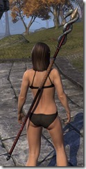 ESO Fashion Nord Ruby Ash Staff Elder Scrolls Online