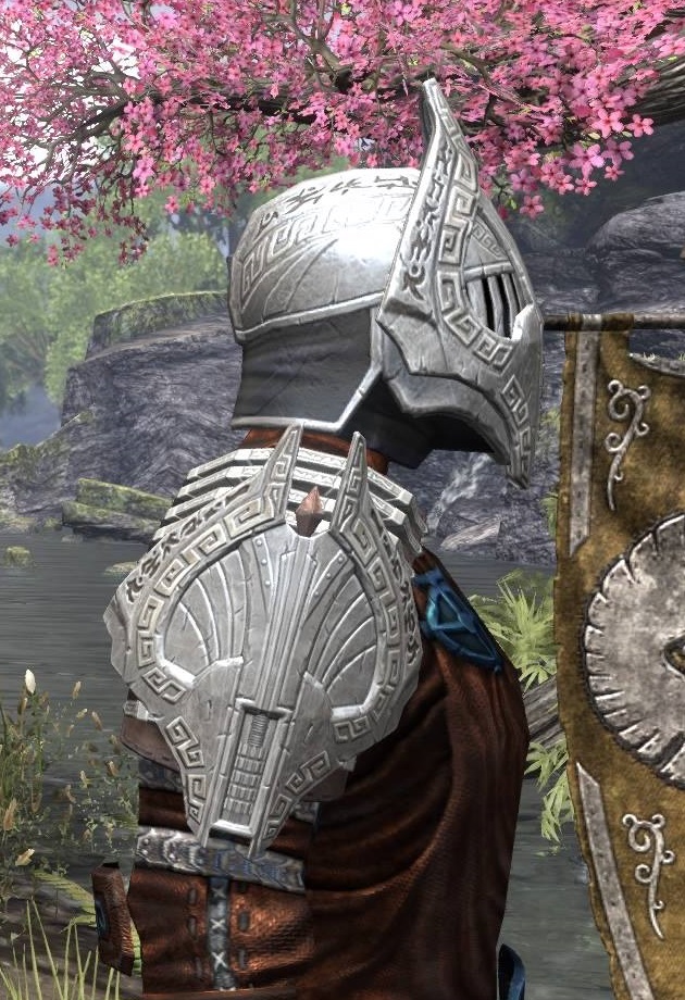 ESO Fashion Mosher PS4 (Elder Scrolls Online)