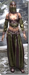 Song of the Night Ensemble Dyed Front