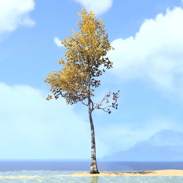 ESO Fashion Tree, Towering Autumn Birch (Elder Scrolls Online)