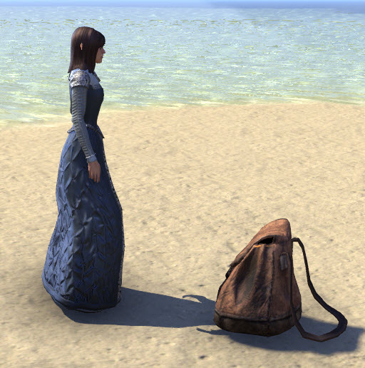 ESO Fashion Common Pack, Backpack (Elder Scrolls Online)