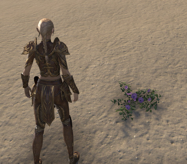 ESO Fashion Flowers, Violet Prairie (Elder Scrolls Online)