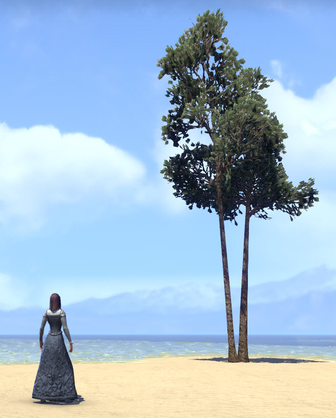 ESO Fashion Trees, Paired Evergreens (Elder Scrolls Online)