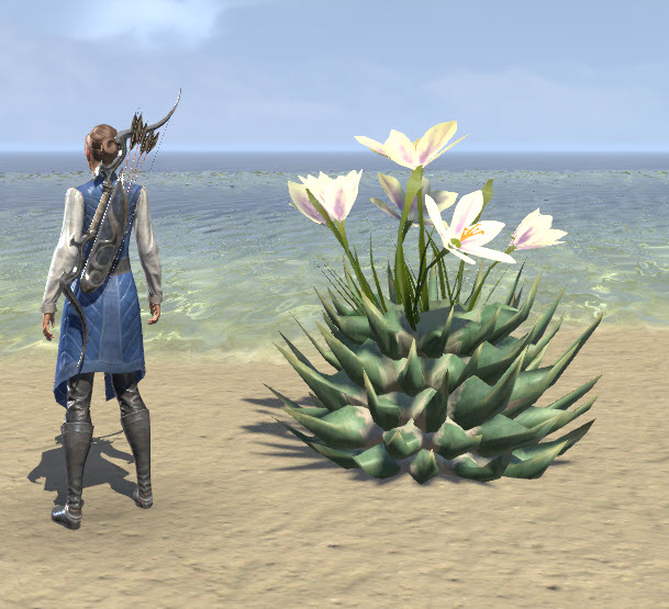ESO Fashion Cactus, Lily Flower (Elder Scrolls Online)