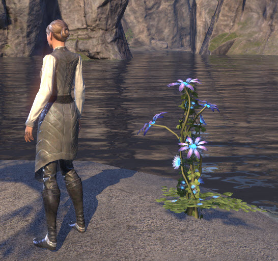 ESO Fashion Flower Cluster, Wyrdbloom (Elder Scrolls Online)