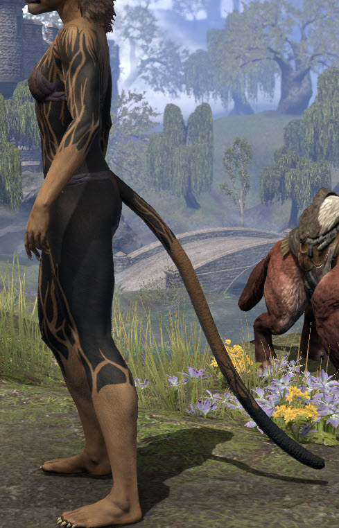 ESO Fashion Shadows Of Blackwood Body Markings Elder Scrolls Online