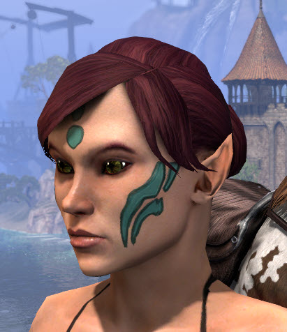 Eso Fashion Touch Of The Draoife Face Markings Elder Scrolls Online