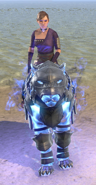 ESO Fashion  Shadow-Rider Senche (Elder Scrolls Online)
