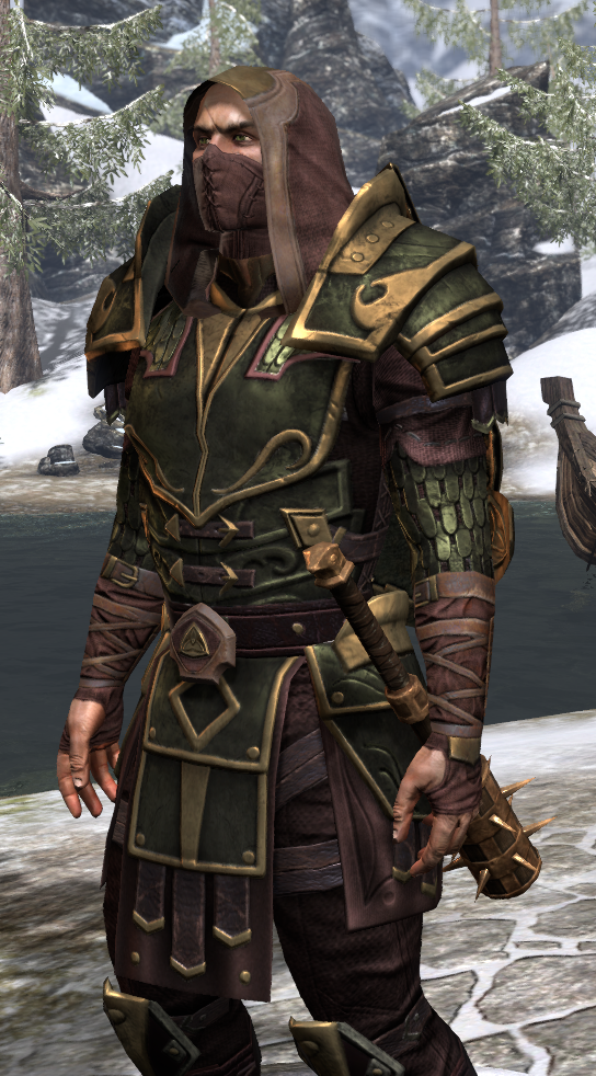 ESO Fashion Dragonknight Battlemage - [EU] (Elder 