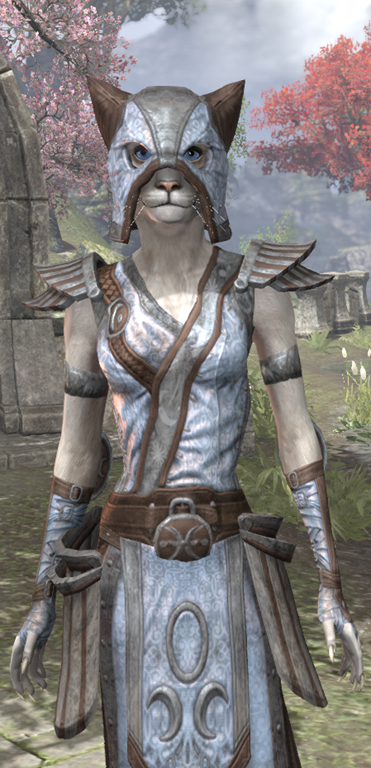 skyrim vampire clothing mod