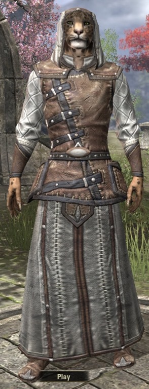 Elder Scrolls Online Altmer Homespun - ESO Fashion