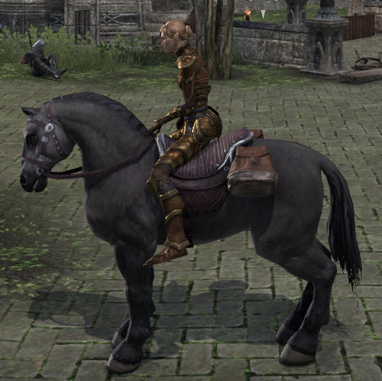 ESO Fashion Gray Yokudan Charger (Elder Scrolls Online)