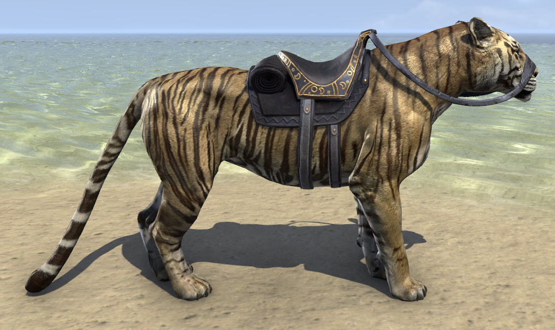 Striped-Senche-Tiger-Side.jpg