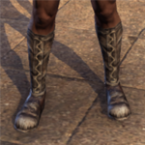 Traveler’s Boots