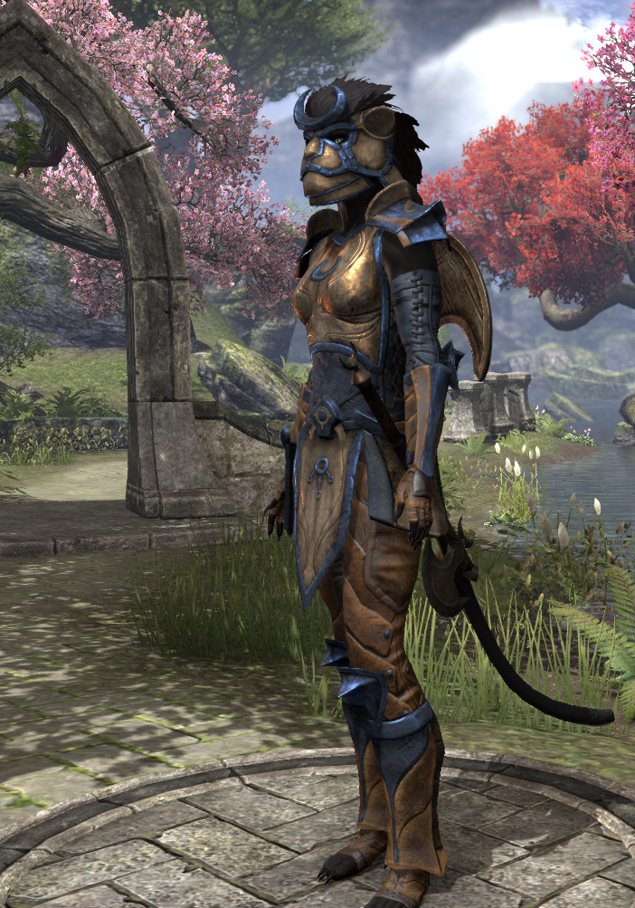 https://eso.mmo-fashion.com/wp-content/uploads/sites/2/2015/07/lvl30-4.png