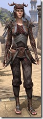 Bosmer Ancestor Silk - Female Jerkin Front