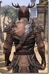 Bosmer Ancestor Silk - Male Robe Close Back