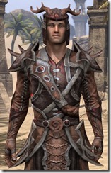 Bosmer Ancestor Silk - Male Robe Close Front