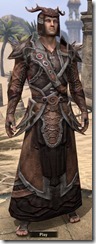 Bosmer Ancestor Silk - Male Robe Front