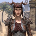 Bosmer Ancestor Silk