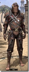Bosmer Rubedo Leather - Male Front