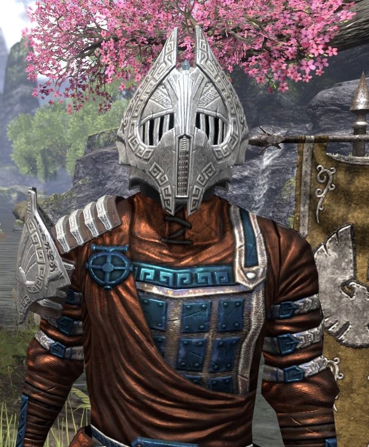 ESO Fashion Mosher PS4 (Elder Scrolls Online)