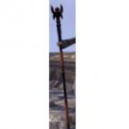 Abah’s Watch Birch Staff