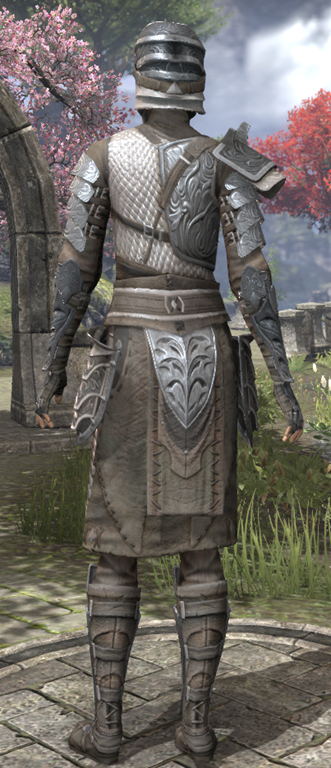 Elder Scrolls Online Mercenary Iron - ESO Fashion