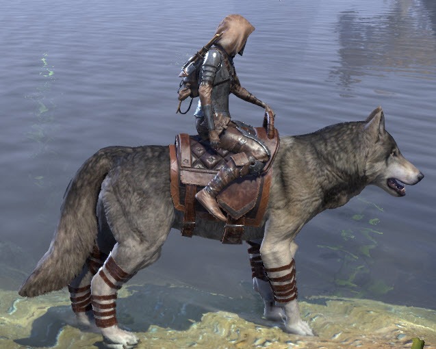 ESO Fashion | Highland Wolf Mount (Elder Scrolls Online)