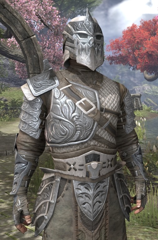 ESO Fashion  Mercenary Iron