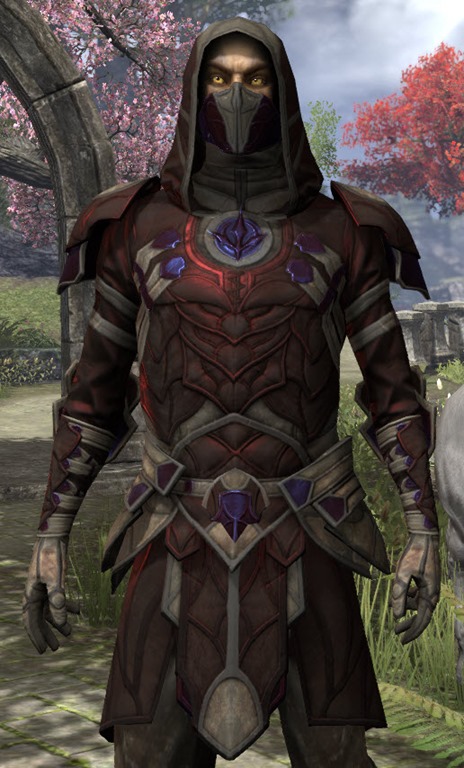 ESO Fashion Outlaw Rubedo Leather (Elder Scrolls Online)