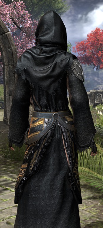 Gallery of Sixth House Robe Costume Eso.